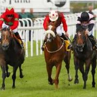 Horse Racing Tips