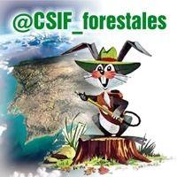 CSIF MEDIO AMBIENTE