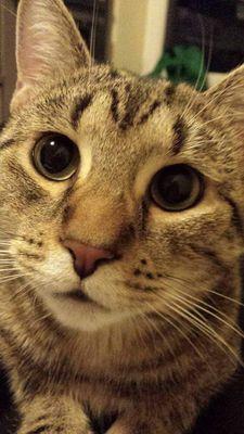 Michał Wadas 🌐 🏳️‍🌈 🇪🇺 🇺🇦