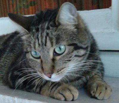 Donatella Chiodi #spuntablu