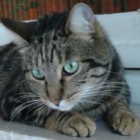 Donatella Chiodi #spuntablu