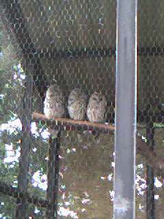 けいたの逆襲。