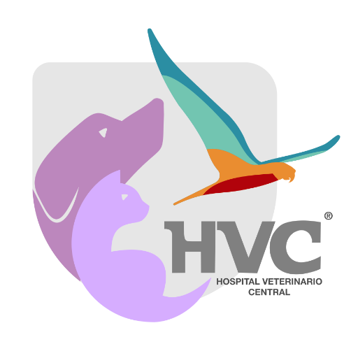 Hospital Vet Central