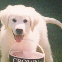 Init4Health #CaithClúdachAghaidhe #SábháilBeathaí.