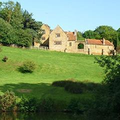 Dammi Lamon 🇪🇺🇩🇪🇬🇧 💚