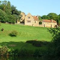 Dammi Lamon 🇪🇺🇩🇪🇬🇧 💚