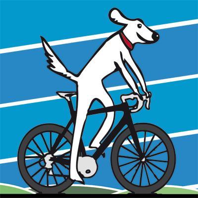 Salt Dog Cycling