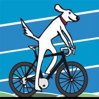 Salt Dog Cycling