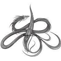 【公式】琉球ドラゴンプロレスリング