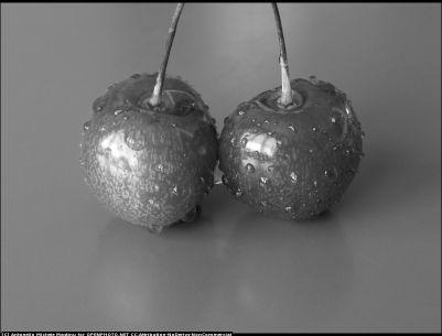 Xtravaganti abnormal