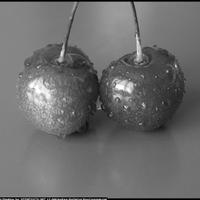 Xtravaganti abnormal