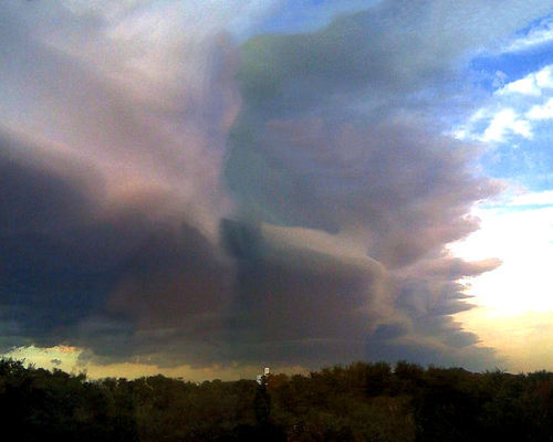 Caperton Classic Art