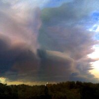 Caperton Classic Art