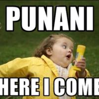 Punani
