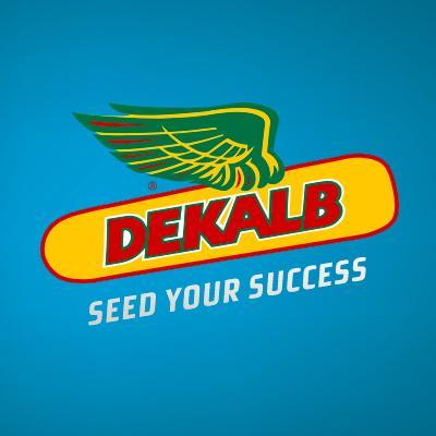 DEKALB España