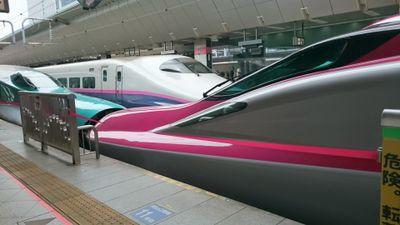 ブライトムーン☆酔残(すいざん)