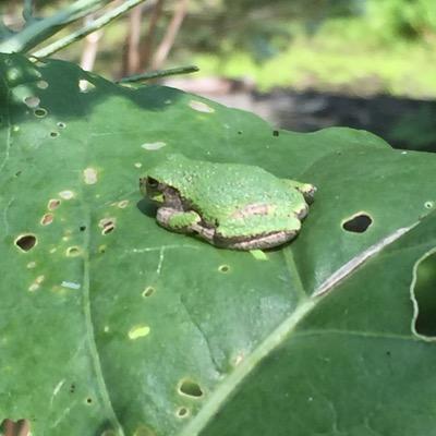 naftelworld 🇺🇦