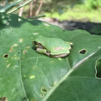 naftelworld 🇺🇦