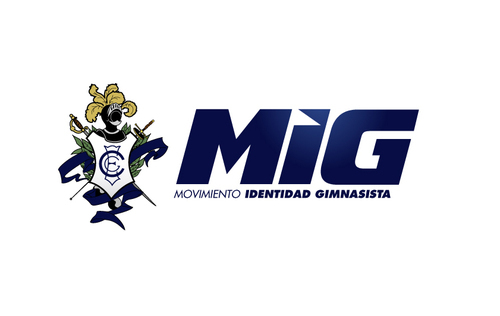 - MIG -