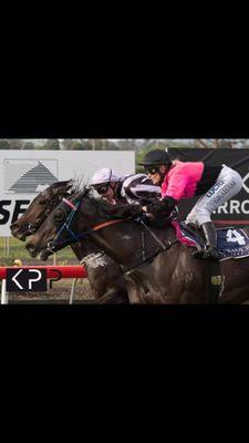 It’s Lainie 🏇🌸🐦‍🔥