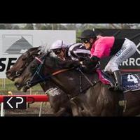 It’s Lainie 🏇🌸🐦‍🔥