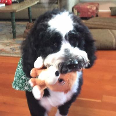 🇨🇦 Don RC 🇺🇦