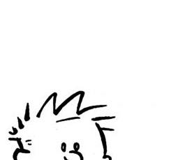 🏆 the one true very stable genius