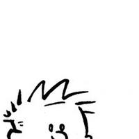 🏆 the one true very stable genius