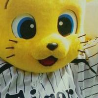 三重虎命T・まさかのタイガース黒星発進です(´ヘ`;)