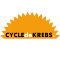 Cycle de Krebs