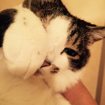 てんてんのりべん