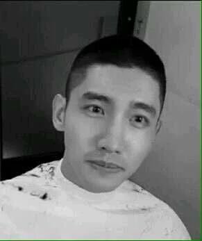Changmin | Bonglek