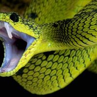 giandomenico🇮🇹