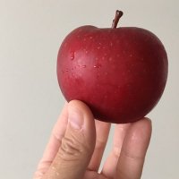 BLENDER SUSHI 🫶 X - 24/7 Blenderian