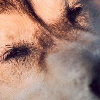 C. Rouhault 🇫🇷🇨🇦