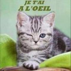 vernen ♦️💗🐾