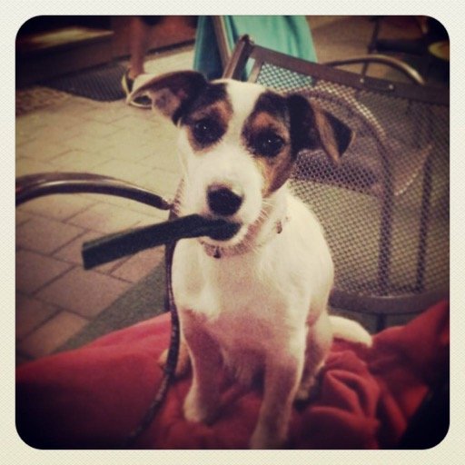 Frantisek (Frank) Borsik