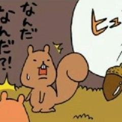 山奥の臆病なリス🍌🐿