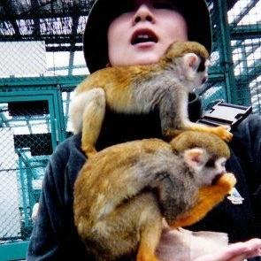 蛸山めがね(たこやま めがね)