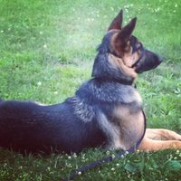 ThunderTradingPost.com