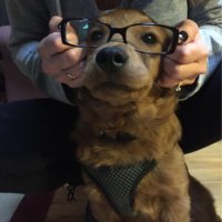 Alleyoop 🌎☮️🇺🇸🦅