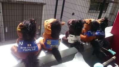 みっきさん(ミッキーミッキー)