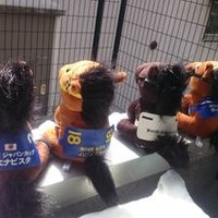 みっきさん(ミッキーミッキー)