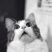 Por Kevin, #FueraPetristasLadrones!