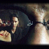 Morpheus11M2004 🍀🧡💙💛