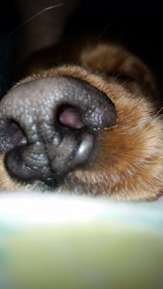 ☄️🌌🔭 ✖️Dam ⚡🌱🐙