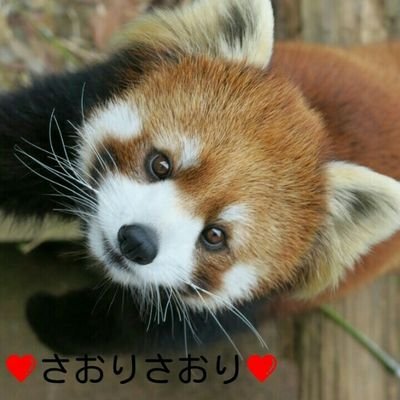さおりさおり