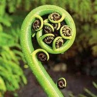 2 U from New Zealand