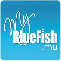 BlueFish eMarketing