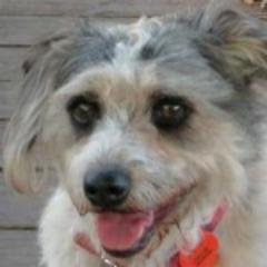 Tom Smit, 57, of Tasmania